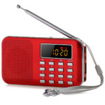 L-218AM FM AM Radio Digital LCD